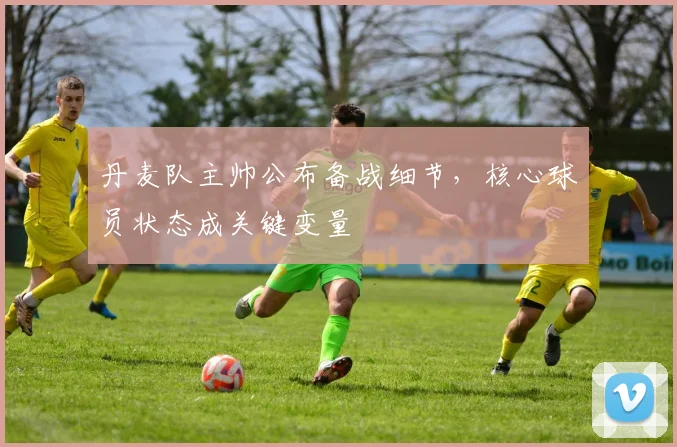 丹麦队主帅公布备战细节，核心球员状态成关键变量