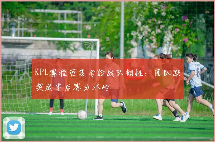 KPL赛程密集考验战队韧性，团队默契成季后赛分水岭
