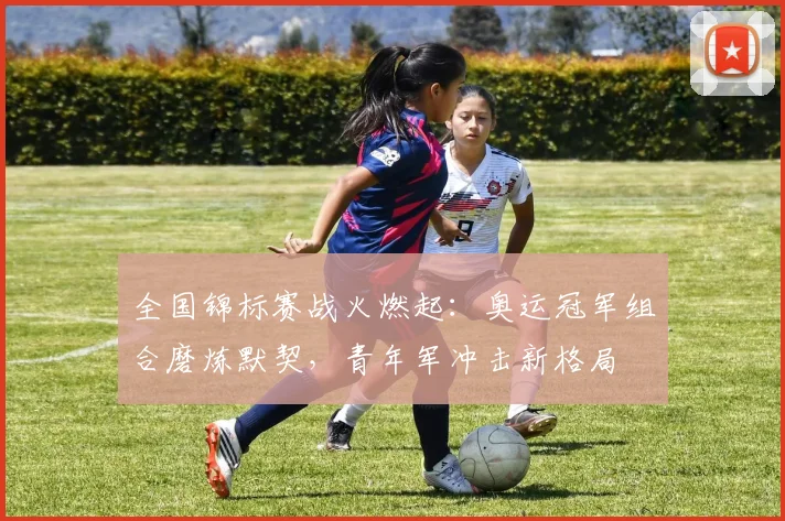 全国锦标赛战火燃起：奥运冠军组合磨炼默契，青年军冲击新格局