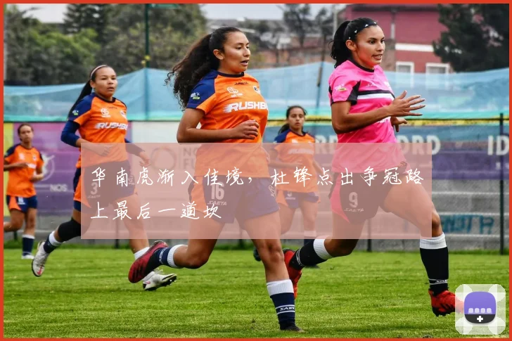 华南虎渐入佳境，杜锋点出争冠路上最后一道坎